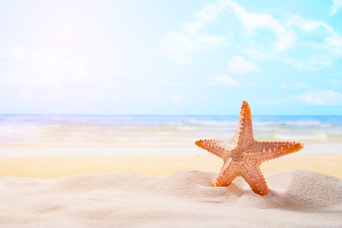 Étoile de mer sur une plage ensoleillée illustrant les tendances bijoux de l'été.